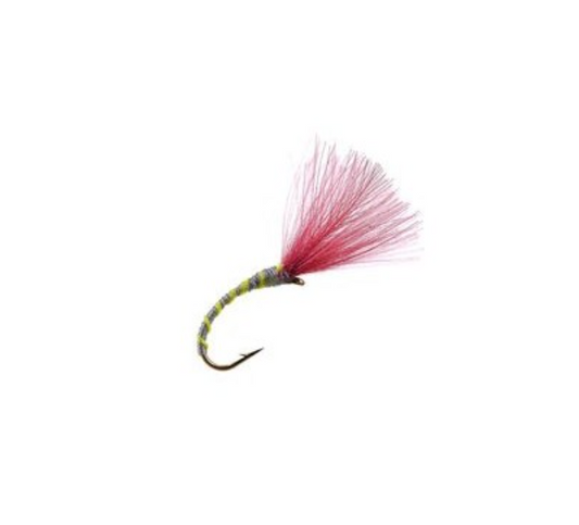 Pink/Olive Mohawk CDC